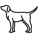 Doplnky pre psov